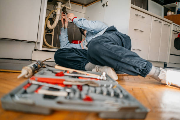 Best Clogged Drain Plumber  in Delano, MN