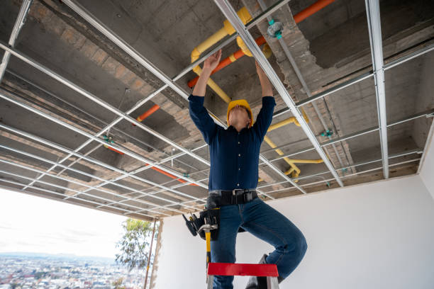 Best Plumbing Services Near Me  in Delano, MN