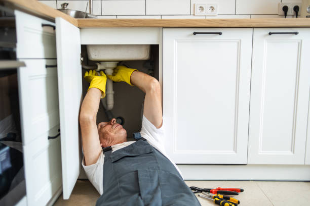 Best Sprinkler Systems  in Delano, MN