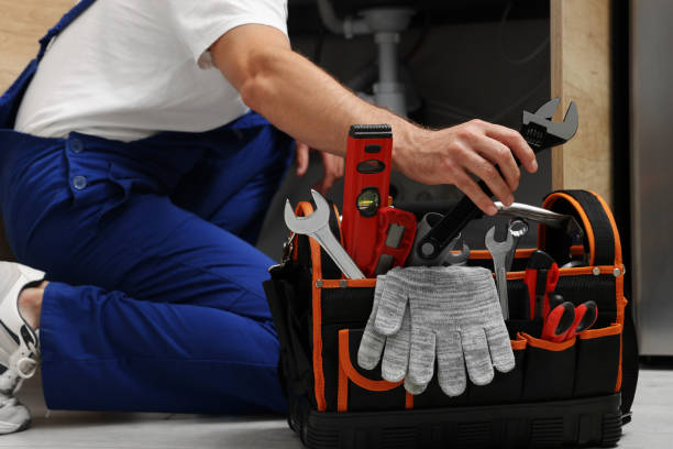 Best Toilet Repair Services  in Delano, MN
