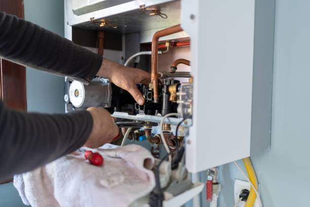 Best Plumbing Services Near Me  in Delano, MN