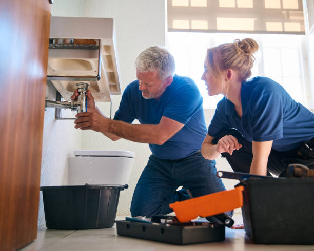 Best Residential Plumbing Services  in Delano, MN