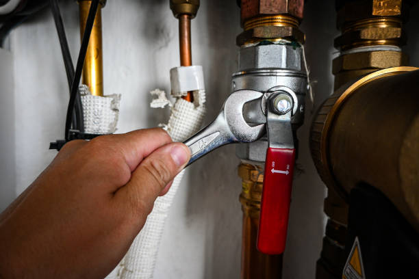 Best Hot Water Heater Installation  in Delano, MN